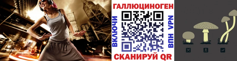 Псилоцибиновые грибы Psilocybe  Купить где  Сясьстрой 